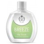 BREEZE DEODORANTE THE VERDE