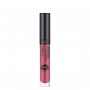 DEBBY LIQUID KISSES MAT LIPSTICK N13