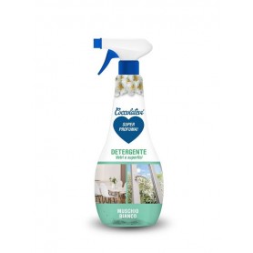 COCCOLATEVI SPRAY VETRI 750ML MUSCHIO