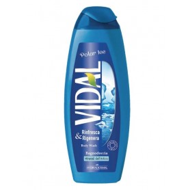 VIDAL BAGNOSCHIUMA  500 ML RINFRESCANTE