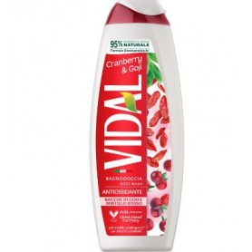 VIDAL BAGNOSCHIUMA 500 ML ANTIOSSIDANTE