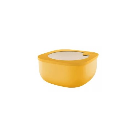 GUZZINI CONTENITORE BASSO 1900CC ECO STO