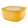 GUZZINI CONTENITORE BASSO 1900CC ECO STO