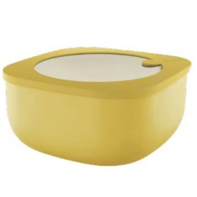 GUZZINI CONTENITORE BASSO 1900CC ECO STO