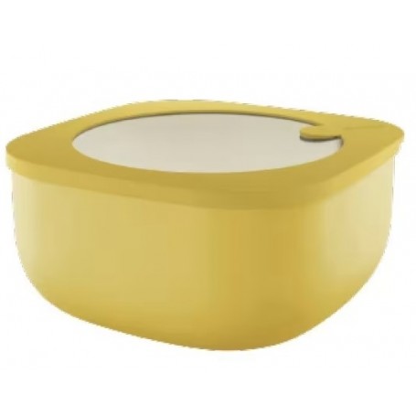 GUZZINI CONTENITORE BASSO 1900CC ECO STO