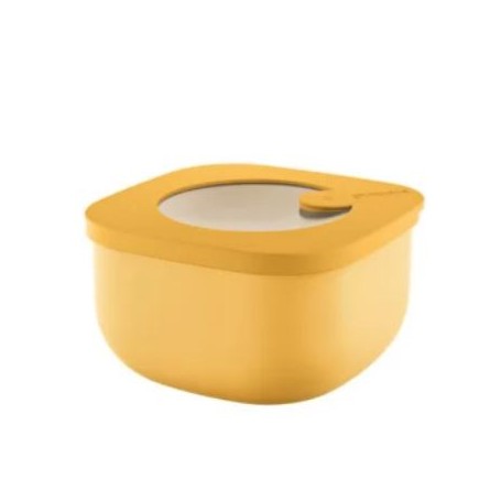 GUZZINI CONTENITORE BASSO 450CC STORE