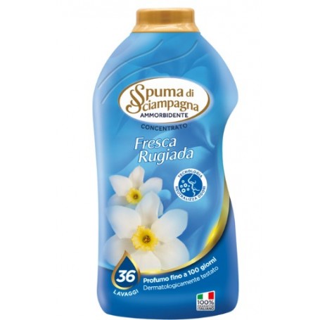 SPUMA DI SCIAMPAGNE AMMORB 36LAV